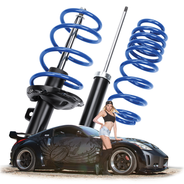 ap Sport Suspensions